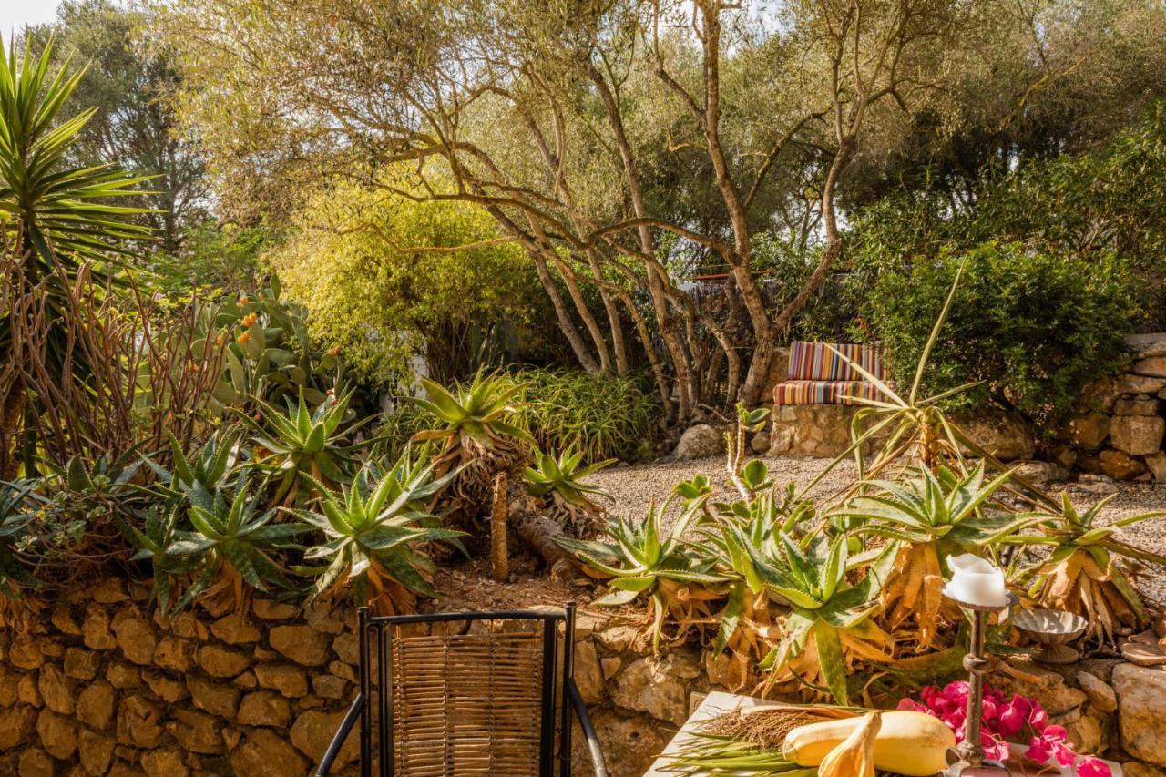 Lägenhetshotell Duvai Mallorca 3*