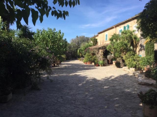 Lägenhetshotell Duvai Mallorca Cala Millor (Mallorca)